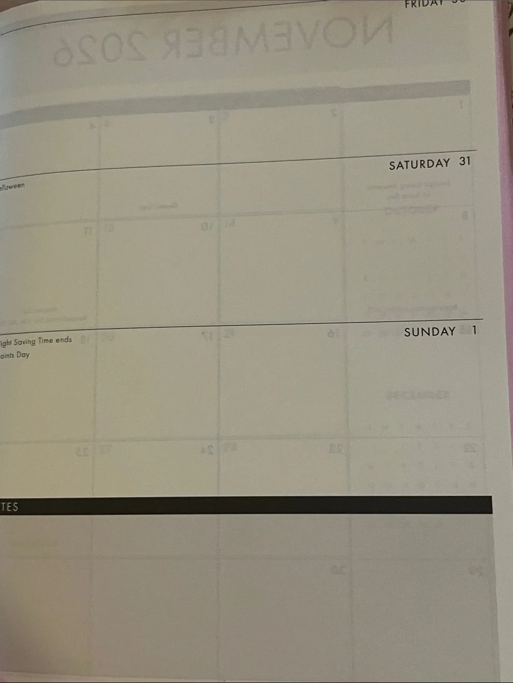 Punch Studio Floral Stripe 2027 Planner — Pink, Green & Cream